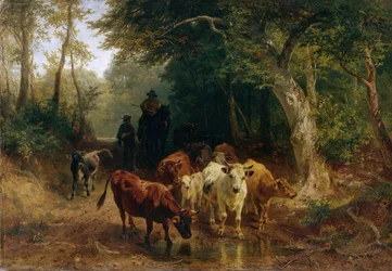 Retour du troupeau de bovins en automne