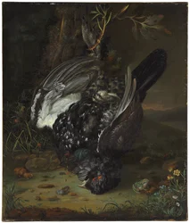 Un coq de bruyère dans un paysage boisé, 1747
