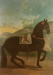 Un cheval noir avec une selle espagnole