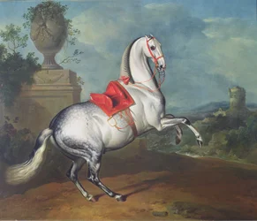 Le gris pommelé au galop