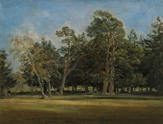 Le parc aux cerfs près de Munich
