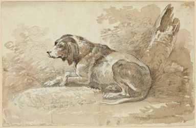 Deux études de chiens