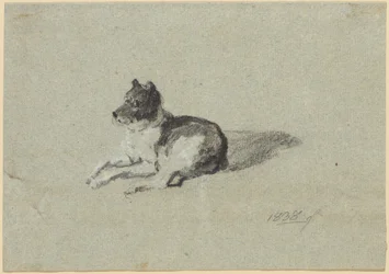 Deux études de chiens