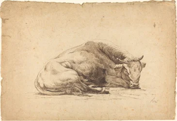 Un taureau dormant