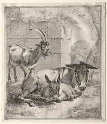 Chèvre et Ânes