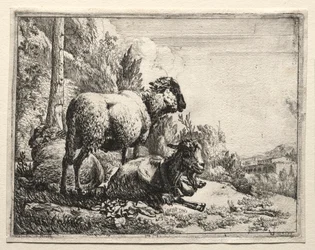 Chèvre avec cloche