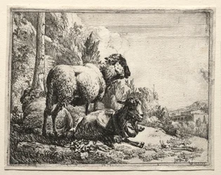 Chèvre avec cloche, 1665