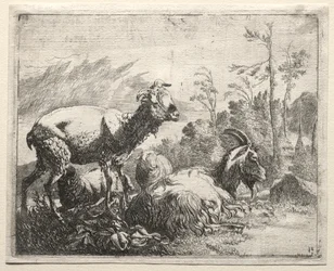 Chèvres