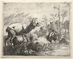 Chèvres