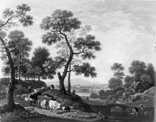 Paysage avec du bétail