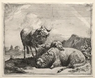 Bélier et Deux Moutons