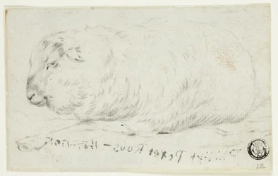 Mouton couché