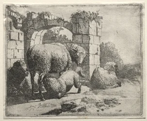 Moutons près des ruines d