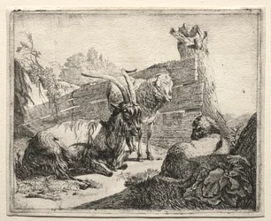 La Haie