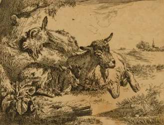 Deux chèvres et un chevreau