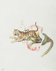Tigre sautant d