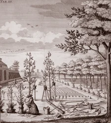 Illustration d