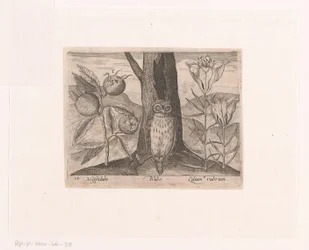 Série de gravures avec fleurs et animaux dans un paysage