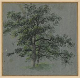 Deux arbres (recto)