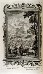 Variétés bibliques de moutons