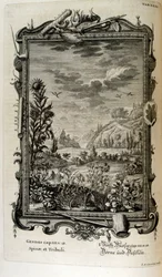 Gravure sur cuivre de 