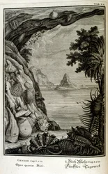 Gravure sur cuivre de 
