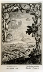 Gravure sur cuivre de 