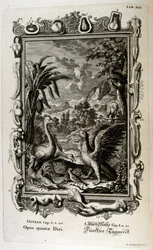 Le récit de la création dans la Genèse : Le cinquième jour de la création : Les animaux sont créés