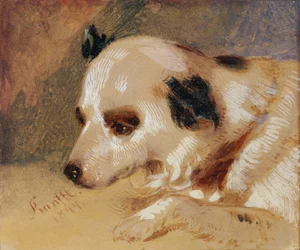 Tête de chien