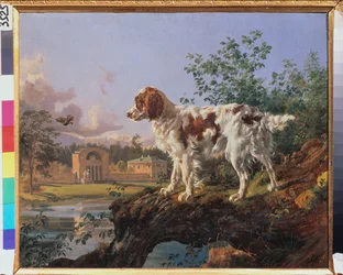 La propriété Kuzminki. Le manège. Un chien dans le paysage.