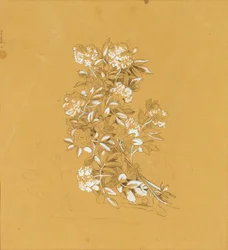 Bouquet de fleurs
