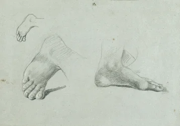 Étude de pied