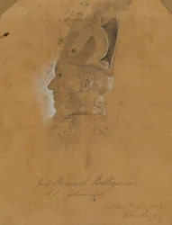 Comte Heinrich Bellegarde