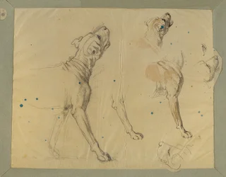Étude de chien pour "Le retour du milicien" (1820)