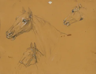Étude de cheval pour "L