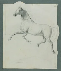 Étude de cheval pour "Rüdiger et Angelika"