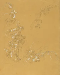Vigne, étude pour "Hermann et Dorothée dans le vignoble"