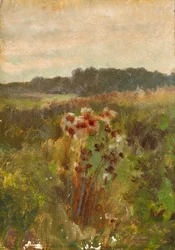 Paysage en Basse-Autriche