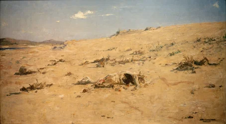Motif de Tanger