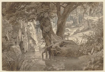 Paysage forestier