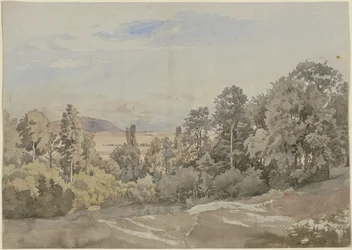 Forêt avec vue lointaine