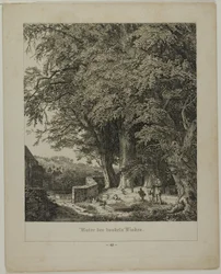 Sous le tilleul ombragé
