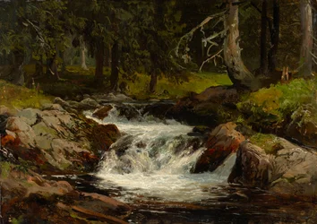 Ruisseau forestier