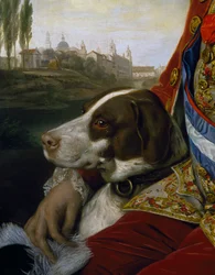 Chien, détail du portrait de Ferdinand de Bourbon, duc de Parme
