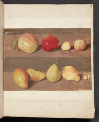 Étude de pommes et de poires