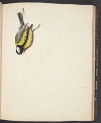 Étude d