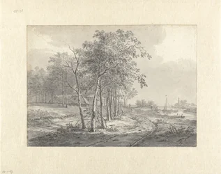 Paysage avec un chemin le long d