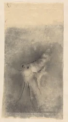 Poisson-lune