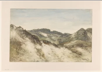 Paysage de dunes près de Zorgvliet