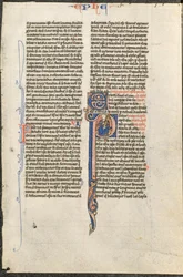 Feuille d